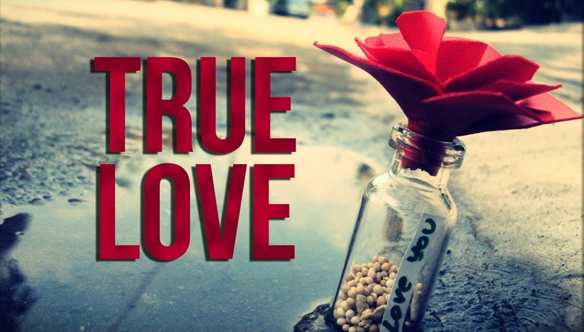 download find true love online
